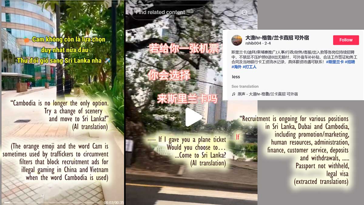 RECRUITERS : A Chinese and Vietnamese language ticktok adverts seeking workers for illegal gaming in Sri Lanka.